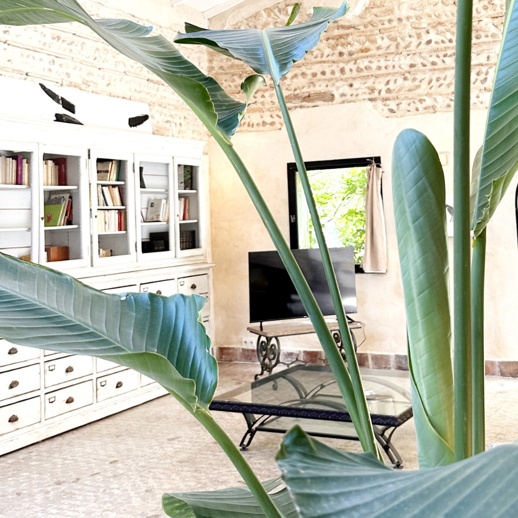 Design sans titre (53)