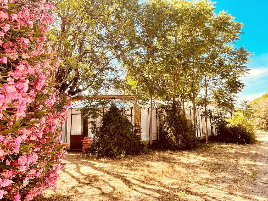façade du Mas Bois Fontaine à Nîmes entourée de nature